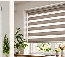 Vision Blinds