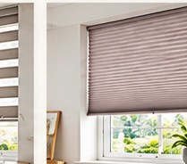 Pleated Blinds